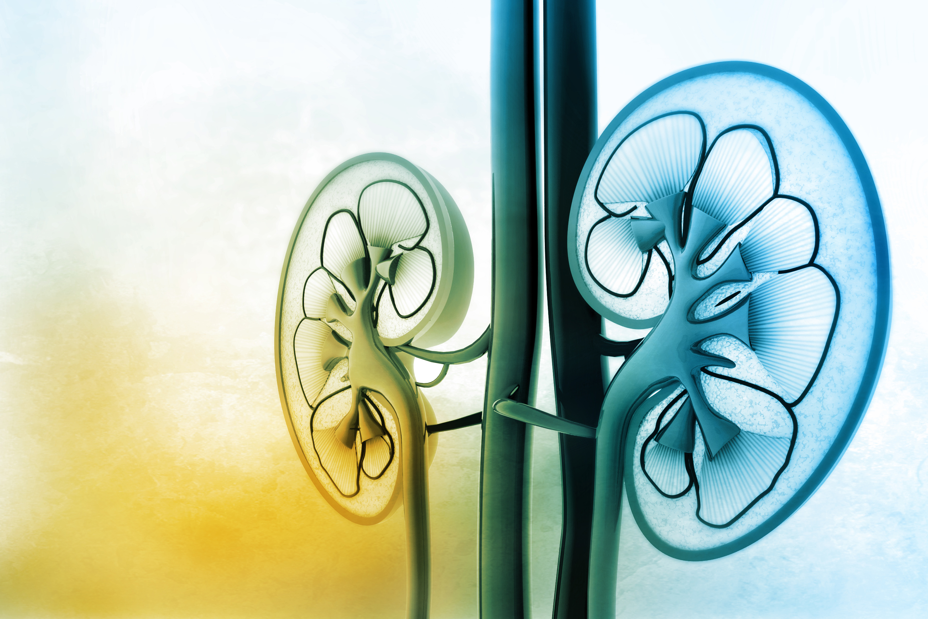 chronic-kidney-disease-how-medical-research-can-help-fight-this-silent