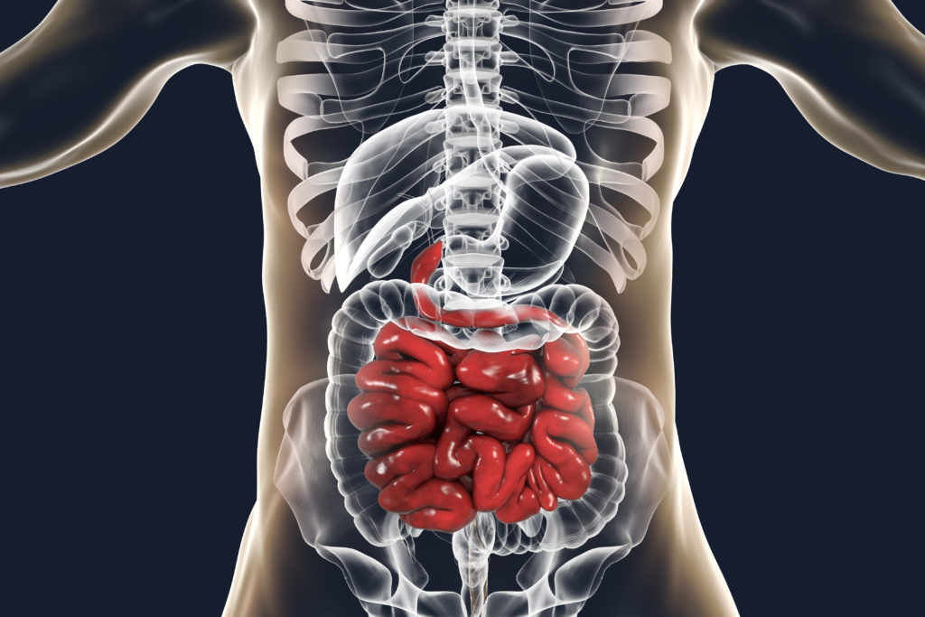 irritable-bowel-syndrome-with-diarrhea-ibs-d-study-meridien-research